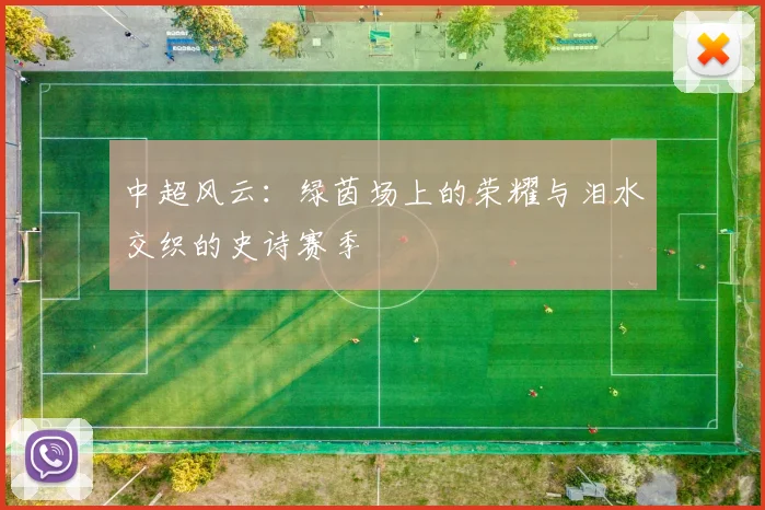 中超风云:绿茵场上的荣耀与泪水交织的史诗赛季